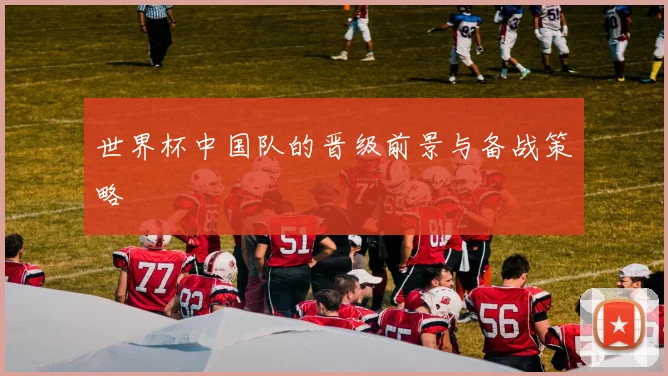 世界杯中国队的晋级前景与备战策略