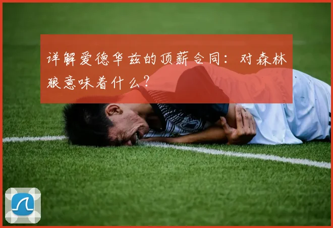 详解爱德华兹的顶薪合同：对森林狼意味着什么？