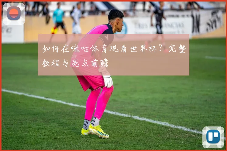 如何在咪咕体育观看世界杯？完整教程与亮点前瞻