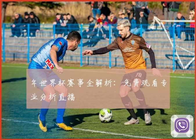 年世界杯赛事全解析：免费观看专业分析直播